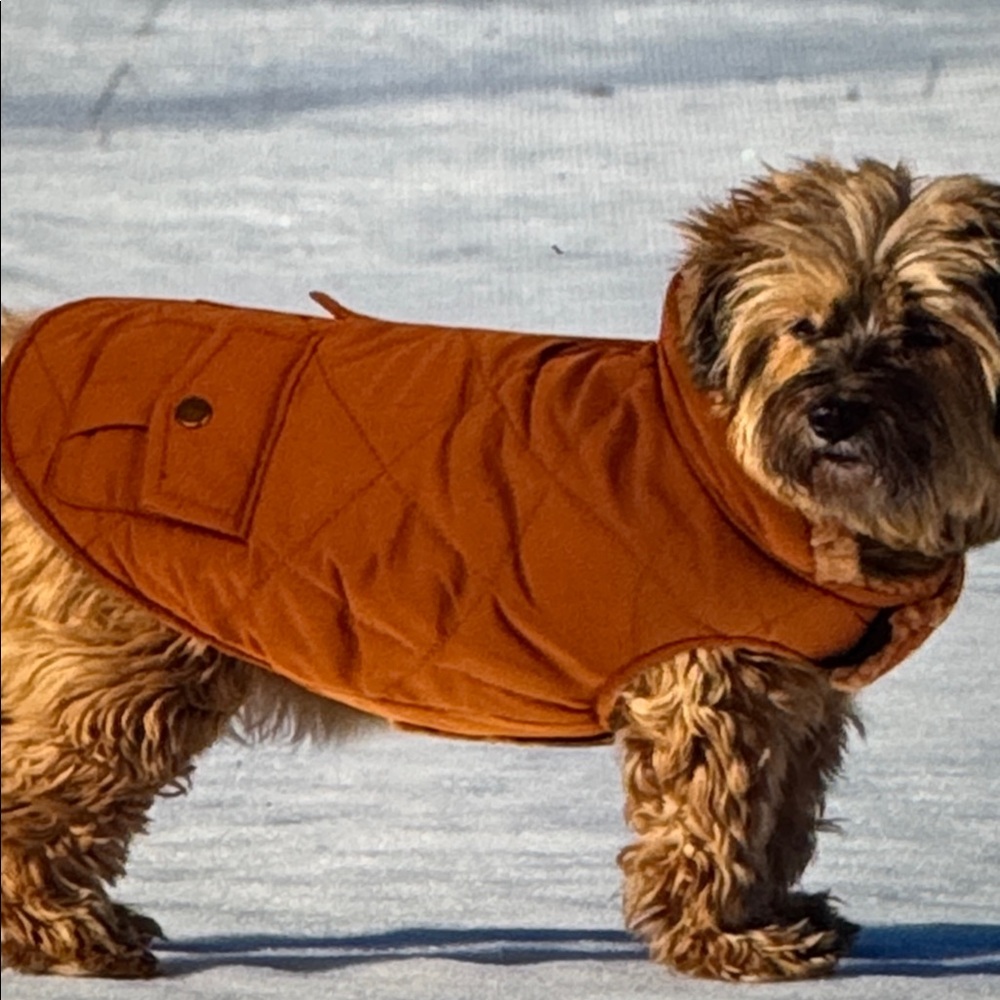 Queenmore dog puffer jacket fur lined reversible sz XS TAN NWT JACKET FLEECE